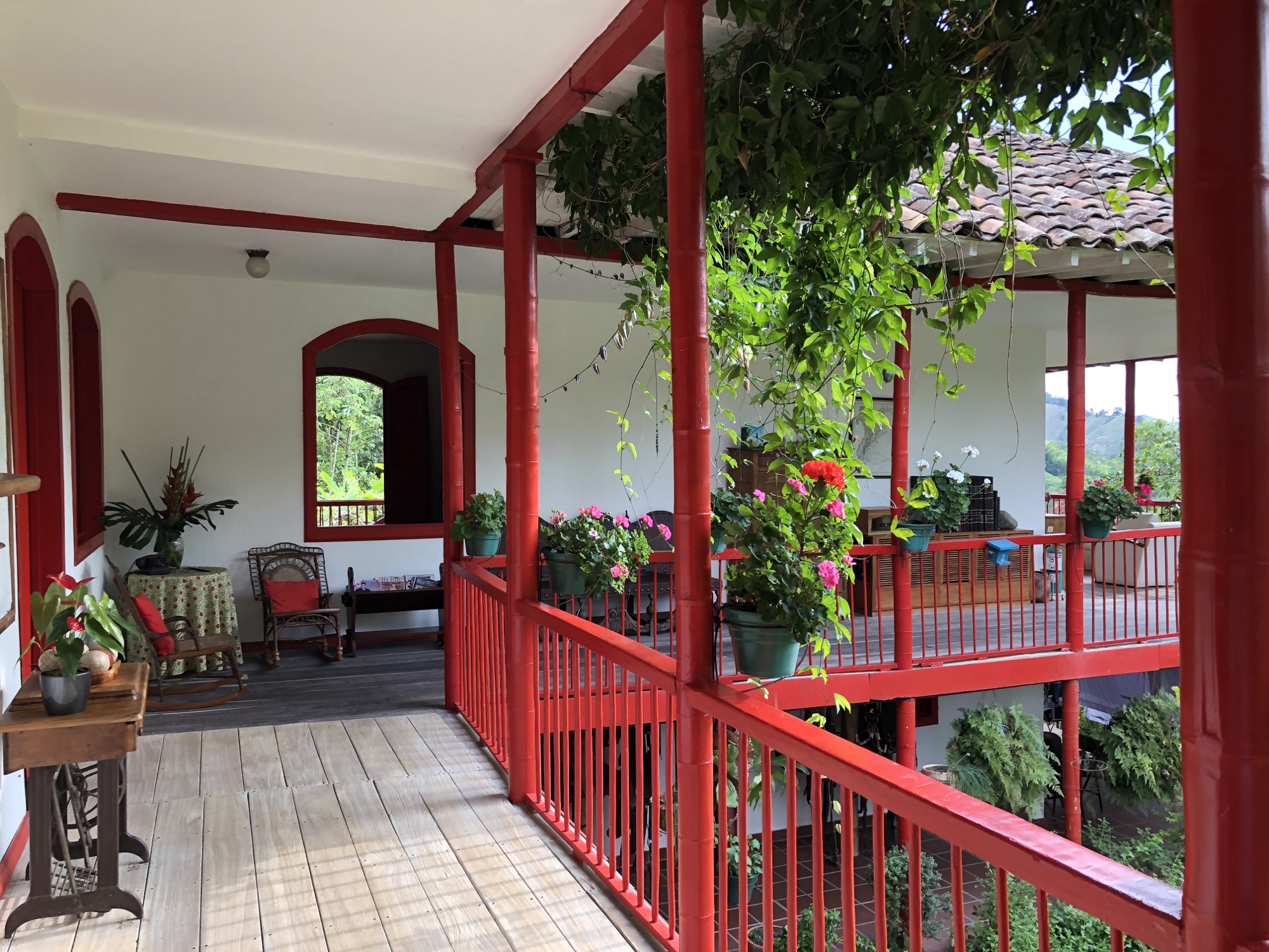 Manizales / Hacienda Venezia